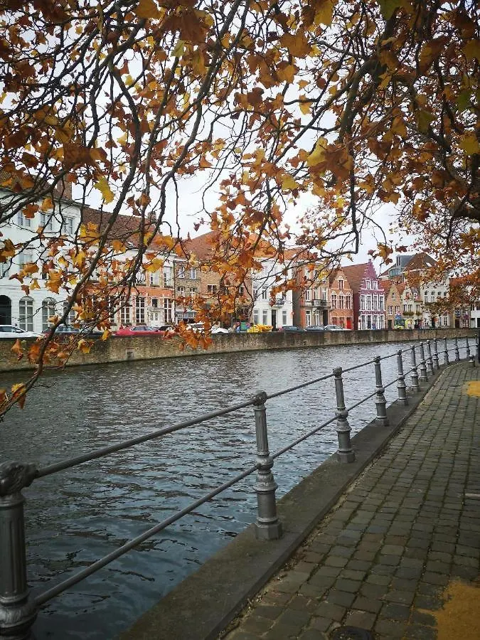 招待所 Die Scone B&B - Guestroom - Centre Of Bruges In Calm Area 比利时