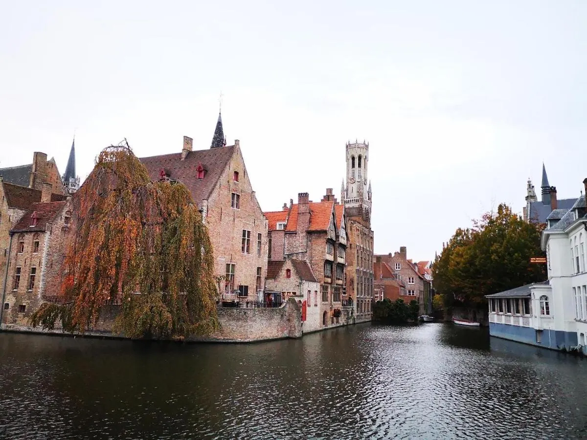 Gasthuis Die Scone B&B - Guestroom - Centre Of Bruges In Calm Area België